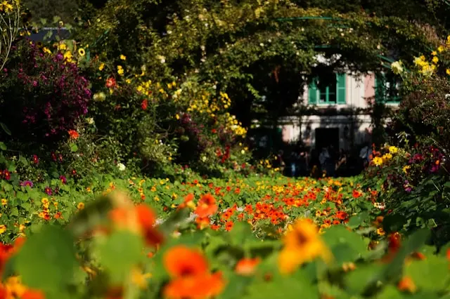 Monet's garden in Giverny